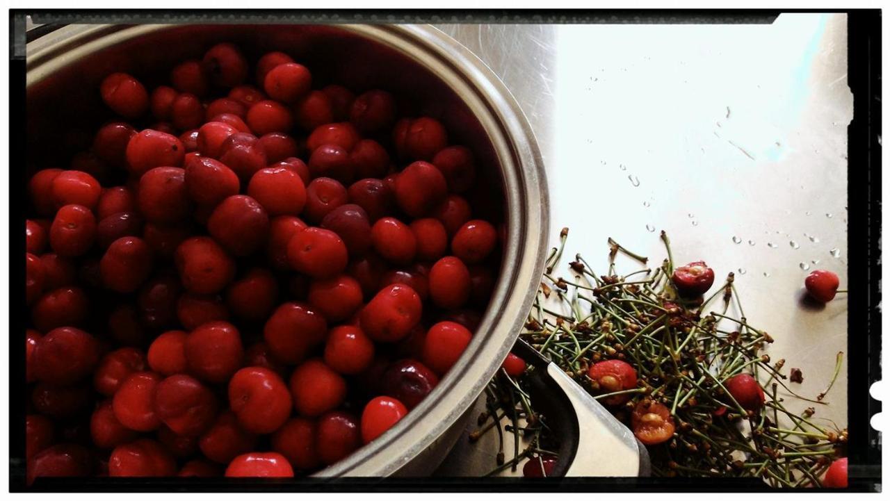 Locanda Agnella 포르토 만토바노 외부 사진